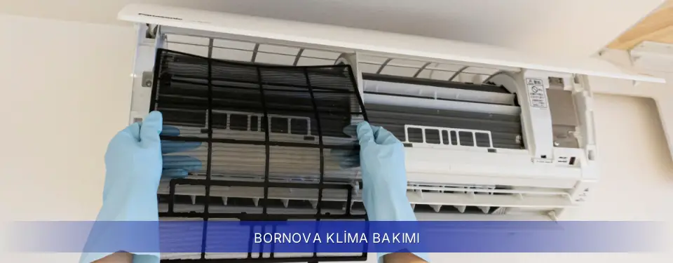 Bornova İlçemi Samsung Klima Bakımı