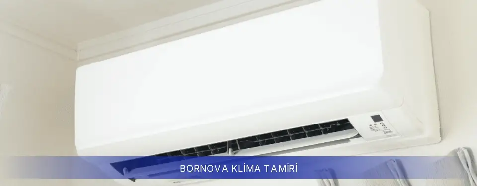 Bornova İlçemi Samsung Klima Tamiri